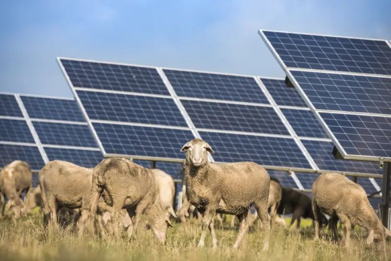 solar for agriculture